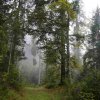 09 b Schluchensteig Etappe 4 - 6
